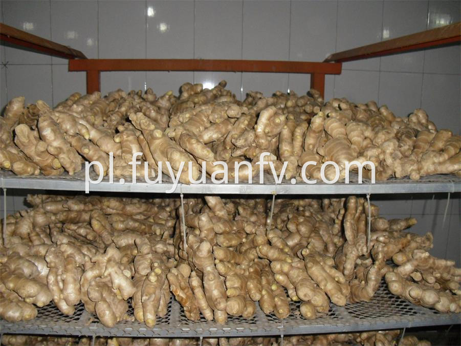 air dried ginger